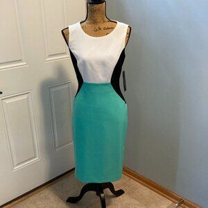 Spring Green Dress Multi Sz 6 NWT Black Label